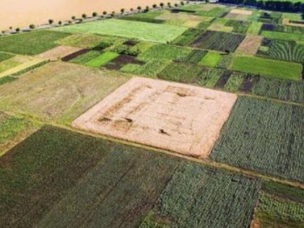 Земеделски имот в с. Крумово, Област Пловдив -  кв.м за 80 €/дка - Снимка #1