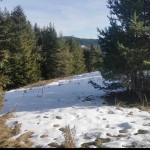 Парцел в с. Лилково, Област Пловдив - 828 кв.м за 8 €/кв.м - Снимка #1