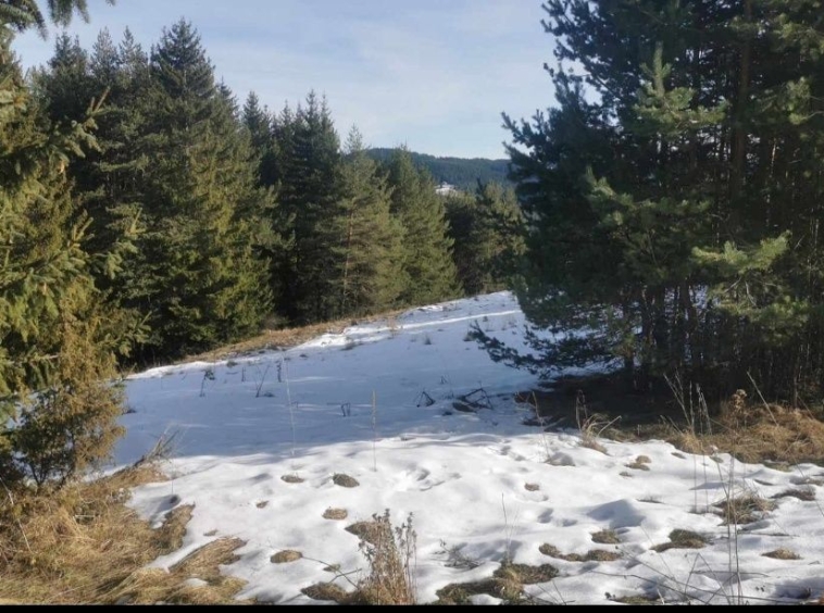 Парцел в с. Лилково, Област Пловдив - 828 кв.м за 4 €/кв.м - Снимка #1