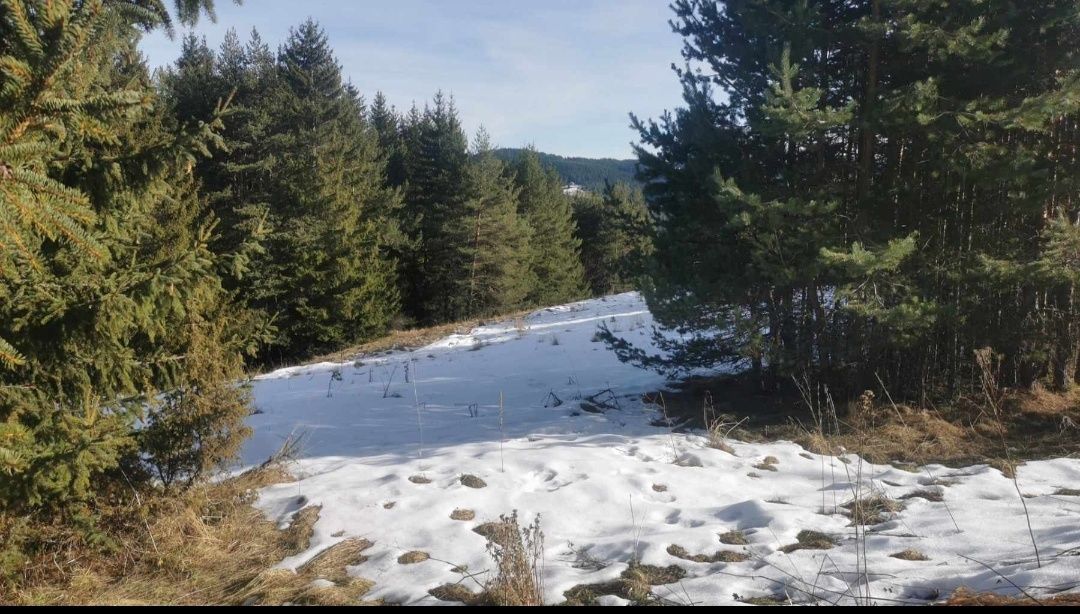 Парцел в с. Лилково, Област Пловдив - 828 кв.м за 4 €/кв.м - Снимка #1