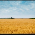 Земеделски имот в Асеновград -  кв.м за 1275 €/дка - Снимка #1