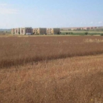 Земеделски имот в Несебър -  кв.м за 12750 €/дка - Снимка #1