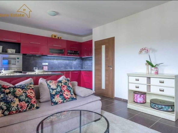 Дава се под наем Двустаен апартамент в София, Бъкстон - 53 кв.м за 450 € - Снимка #1