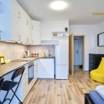 Дава се под наем Едностаен апартамент в София, Дианабад - 30 кв.м за 375 € - Снимка #1