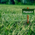 Парцел в с. Рогачево, Област Добрич - 480 кв.м за 58 €/кв.м - Снимка #1