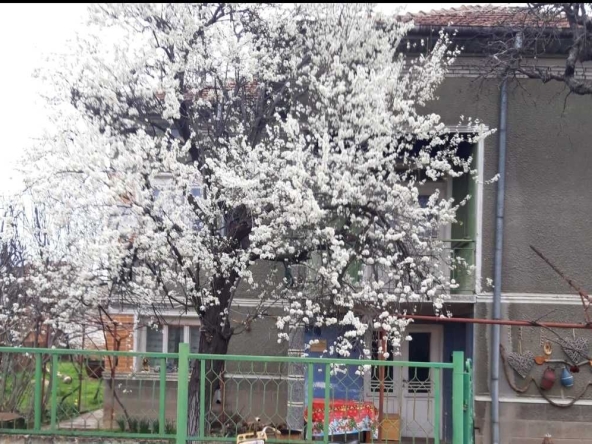 Дава се под наем Къща в с. Арчар, Област Видин - 180 кв.м за 400 € - Снимка #1