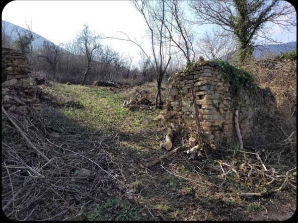 Парцел в Дряново - 1700 кв.м за 7 €/кв.м - Снимка #1