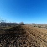 Парцел в с. Козаревец, Област Велико Търново - 1100 кв.м за 9 €/кв.м - Снимка #1