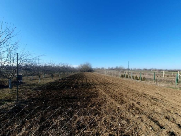 Парцел в с. Козаревец, Област Велико Търново - 1100 кв.м за 9 €/кв.м - Снимка #1