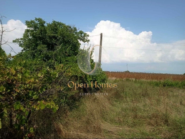 Парцел в с. Голям чардак, Област Пловдив - 675 кв.м за 25 €/кв.м - Снимка #1