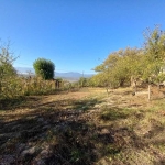 Парцел в с. Шипочано, Област Кюстендил - 969 кв.м за 19 €/кв.м - Снимка #1