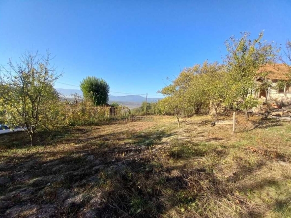 Парцел в с. Шипочано, Област Кюстендил - 969 кв.м за 19 €/кв.м - Снимка #1