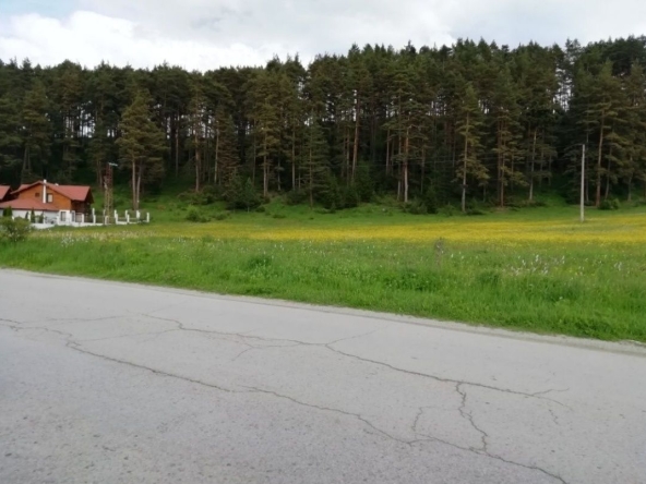 Парцел в с. Маджаре, Област София-област - 2500 кв.м за 31 €/кв.м - Снимка #1