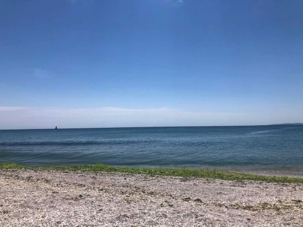 Дава се под наем Едностаен апартамент в Поморие - 30 кв.м за 19.38 € - Снимка #1