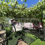 Къща в с. Видно, Област Добрич - 100 кв.м за 555 €/кв.м - Снимка #1