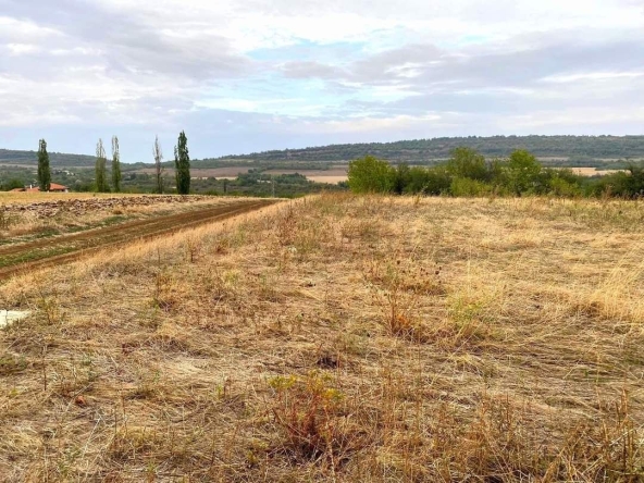 Парцел в с. Церова кория, Област Велико Търново - 800 кв.м за 12 €/кв.м - Снимка #1