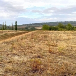 Парцел в с. Церова кория, Област Велико Търново - 800 кв.м за 12 €/кв.м - Снимка #1