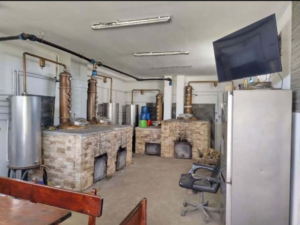 Промишлена сграда в с. Тополи, Област Варна - 1074 кв.м за 157 €/кв.м - Снимка #1