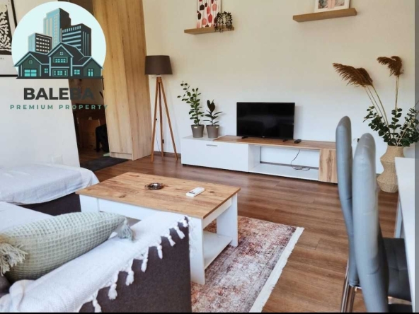 Дава се под наем Двустаен апартамент в София, Дървеница - 48 кв.м за 500 € - Снимка #1