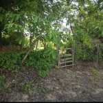 Парцел в с. Приселци, Област Варна - 470 кв.м за 12 €/кв.м - Снимка #1