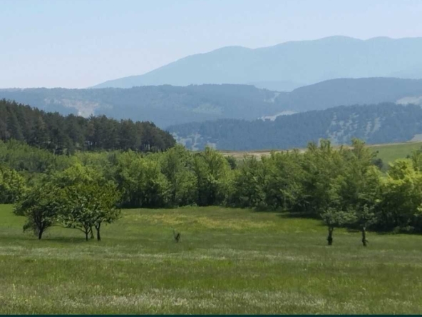 Земеделски имот в Велинград -  кв.м за 20 €/дка - Снимка #1