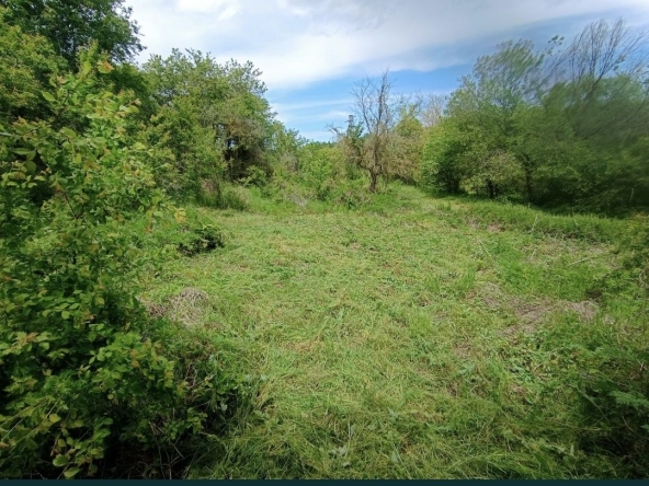 Парцел в с. Крумово, Област Варна - 700 кв.м за 36 €/кв.м - Снимка #1