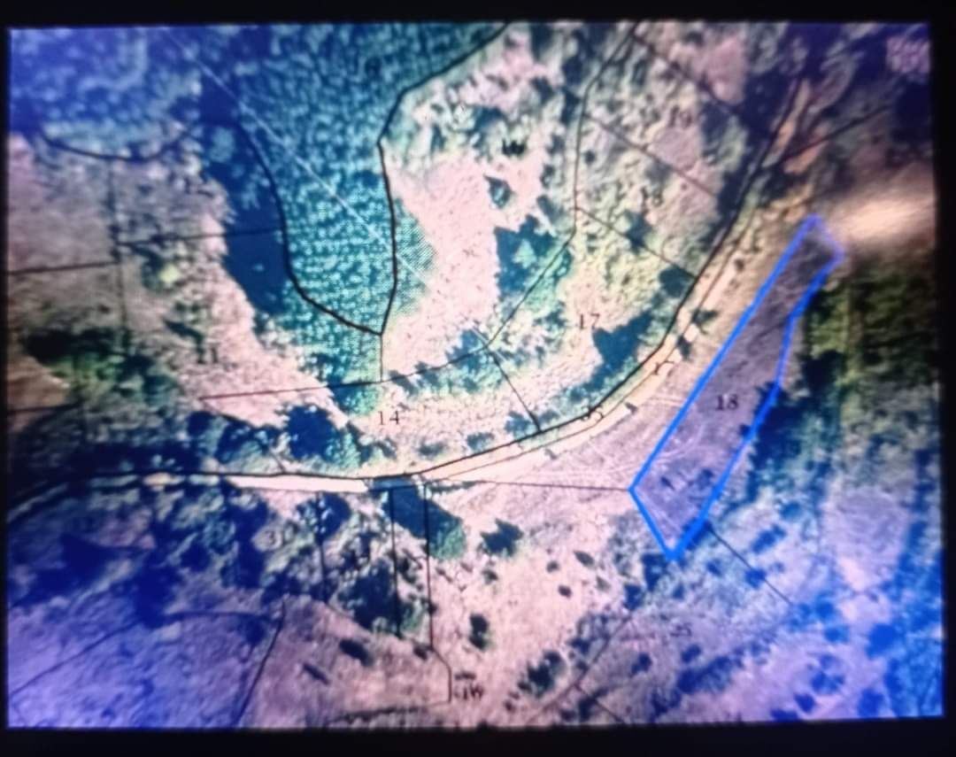 Парцел в с. Борилово, Област Стара Загора - 1820 кв.м за 13 €/кв.м - Снимка #1