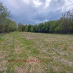 Парцел в с. Жедна, Област Перник - 800 кв.м за 13 €/кв.м - Снимка #1