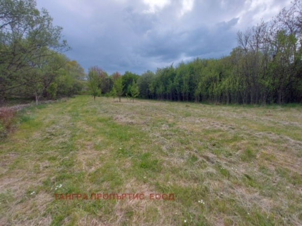 Парцел в с. Жедна, Област Перник - 800 кв.м за 13 €/кв.м - Снимка #1