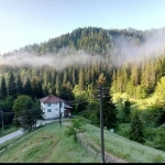 Парцел в с. Кутела, Област Смолян - 620 кв.м за 16 €/кв.м - Снимка #1