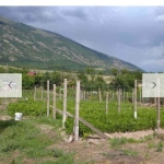 Парцел в Карлово - 850 кв.м за 11 €/кв.м - Снимка #1