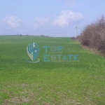 Парцел в с. Беляковец, Област Велико Търново - 1900 кв.м за 31 €/кв.м - Снимка #1