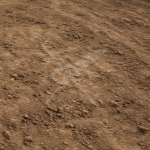 Парцел в с. Крумово, Област Пловдив - 1136 кв.м за 65 €/кв.м - Снимка #1