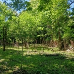 Парцел в Ябланица - 1000 кв.м за 16 €/кв.м - Снимка #1