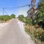 Парцел в с. Пролеша, Област София-област - 800 кв.м за 46 €/кв.м - Снимка #1