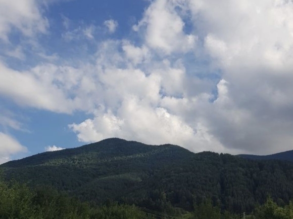 Парцел в Сапарева баня - 719 кв.м за 68 €/кв.м - Снимка #1