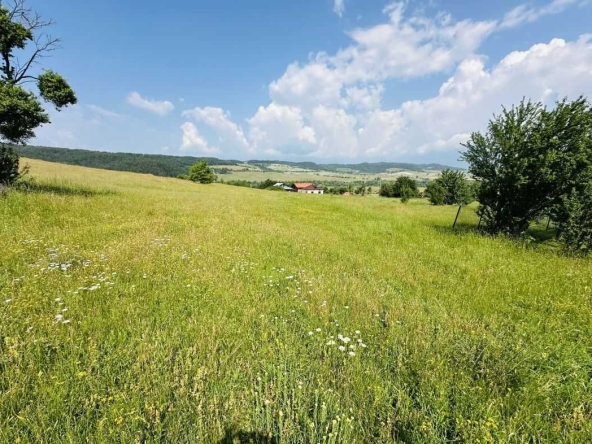 Земеделски имот в с. Горно Краище, Област Благоевград -  кв.м за 30 €/дка - Снимка #1