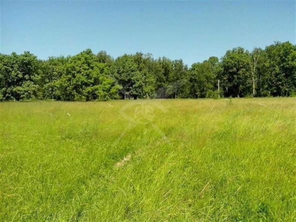 Парцел в с. Голям чардак, Област Пловдив - 1371 кв.м за 12 €/кв.м - Снимка #1