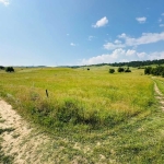 Земеделски имот в с. Горно Краище, Област Благоевград -  кв.м за 30 €/дка - Снимка #1