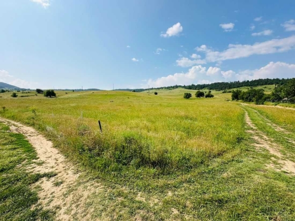 Земеделски имот в с. Горно Краище, Област Благоевград -  кв.м за 30 €/дка - Снимка #1