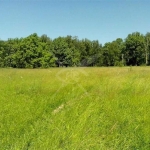 Парцел в с. Голям чардак, Област Пловдив - 1371 кв.м за 23 €/кв.м - Снимка #1