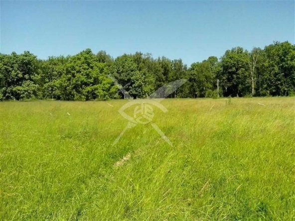 Парцел в Перущица - 427 кв.м за 26 €/кв.м - Снимка #1