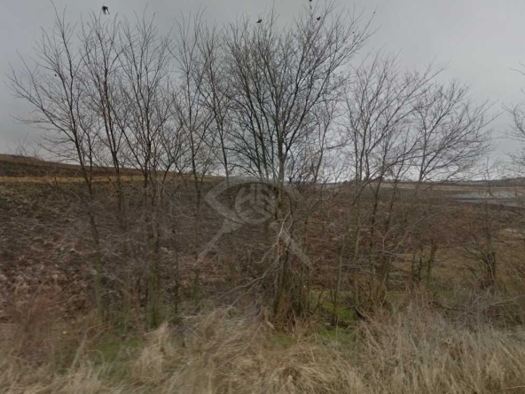 Парцел в Каблешково - 36238 кв.м за 6 €/кв.м - Снимка #1