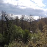 Земеделски имот в с. Мазарачево, Област Кюстендил -  кв.м за 1148 €/дка - Снимка #1