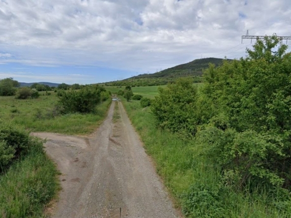 Парцел в с. Долна Диканя, Област Перник - 1000 кв.м за 29 €/кв.м - Снимка #1