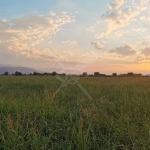 Парцел в с. Златитрап, Област Пловдив - 10540 кв.м за 27 €/кв.м - Снимка #1