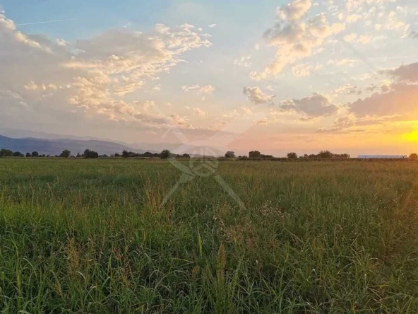 Парцел в с. Златитрап, Област Пловдив - 10540 кв.м за 27 €/кв.м - Снимка #1