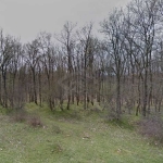 Парцел в с. Деветак, Област Бургас - 1660 кв.м за 4 €/кв.м - Снимка #1