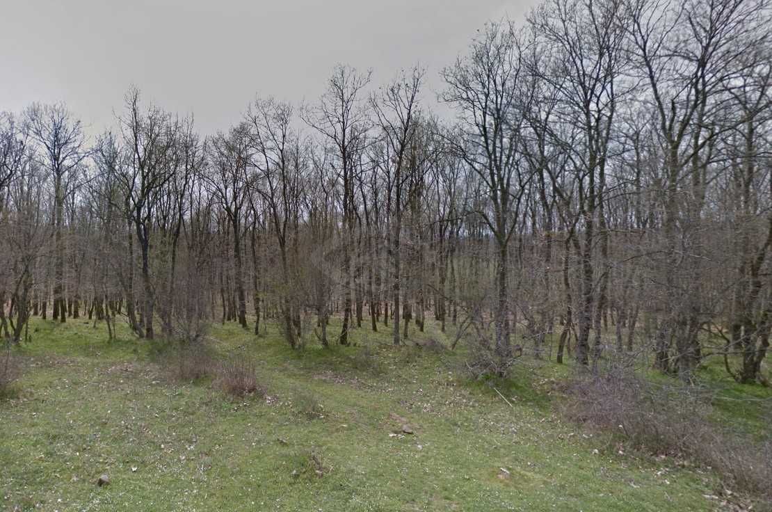 Парцел в с. Деветак, Област Бургас - 1660 кв.м за 4 €/кв.м - Снимка #1