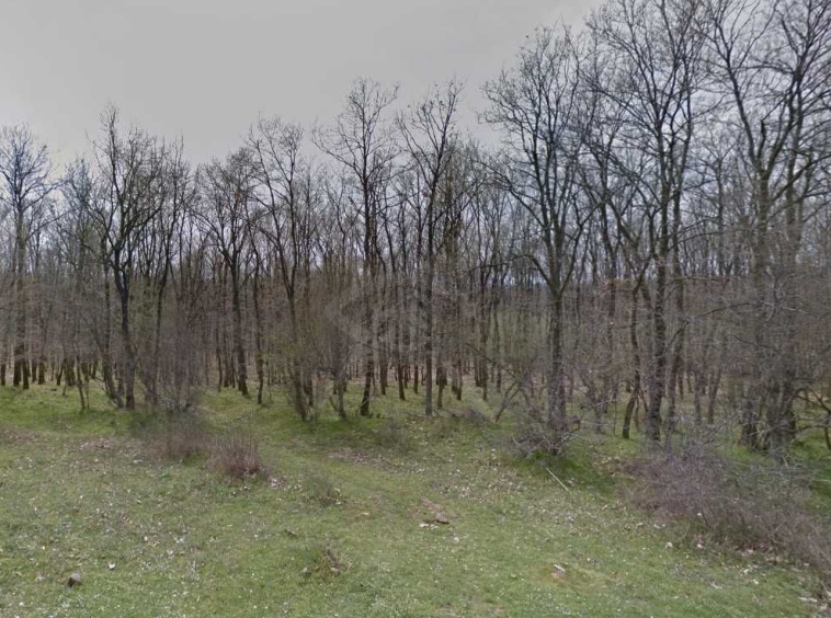 Парцел в с. Деветак, Област Бургас - 1660 кв.м за 2 €/кв.м - Снимка #1